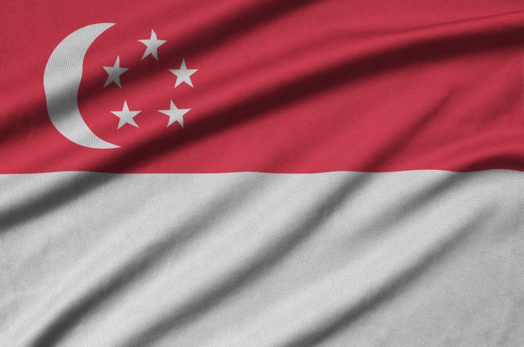 한국 - 싱가포르 FTA (관세 변경, 제외 물품 등)