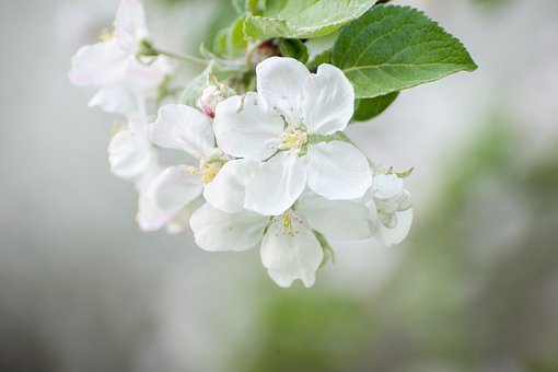 프란체스카/월간 별자리 운세/2023년 4월 후반/물병·물고기·양·황소자리