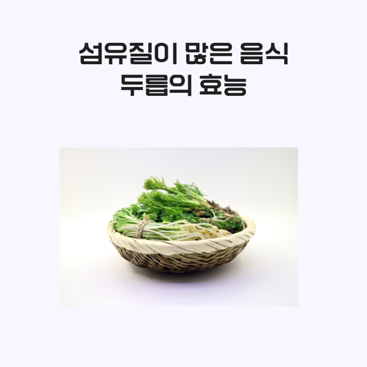  섬유질이 많은 두릅, 다이어트 음식으로 좋아요(엽산 및 칼륨도 풍부!)
