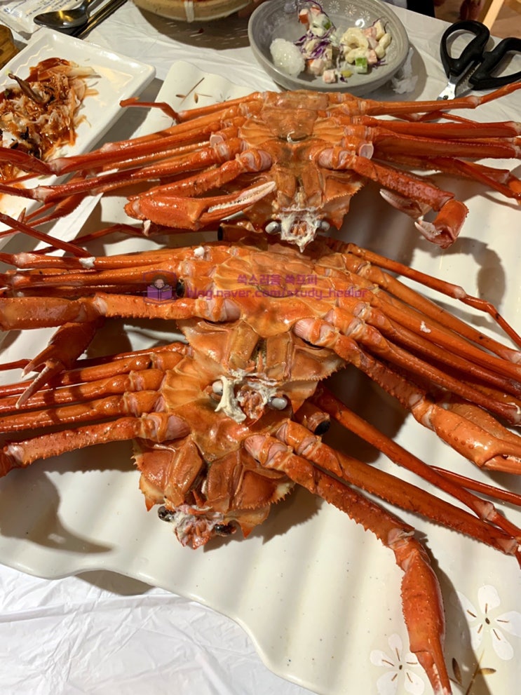  삼산동 맛집 주문진 대게 회타운에서 홍게무한리필 내돈내산 후기
