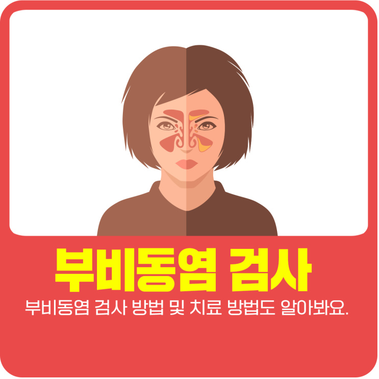  부비동염 및 검사 방법 알아봐요.