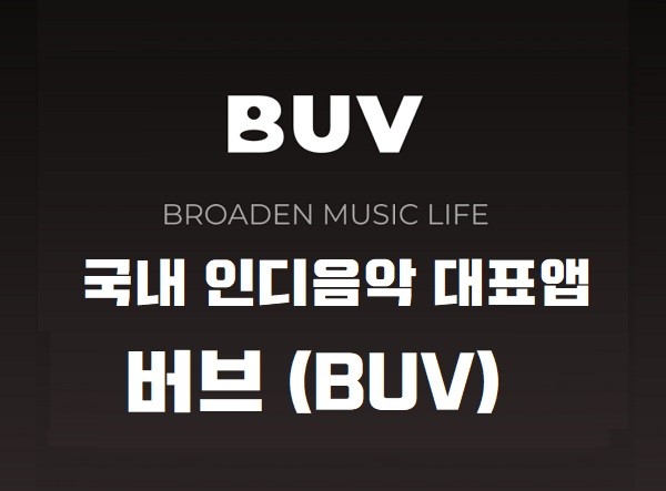 음악어플추천 : 인디음악 대표 앱 버브 (BUV)에서 인디가수 인디밴드 최애곡 무료 스트리밍