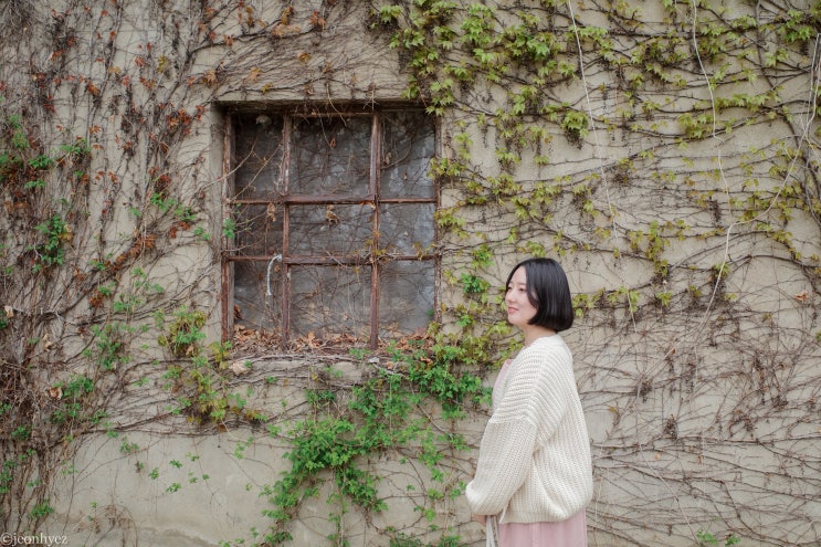  사진찍기 좋은 무주 뽕다방 전북제사1970