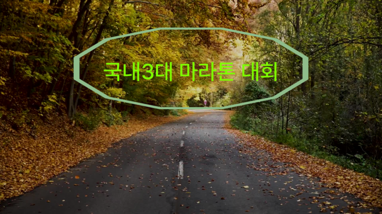  국내 3대 마라톤 대회