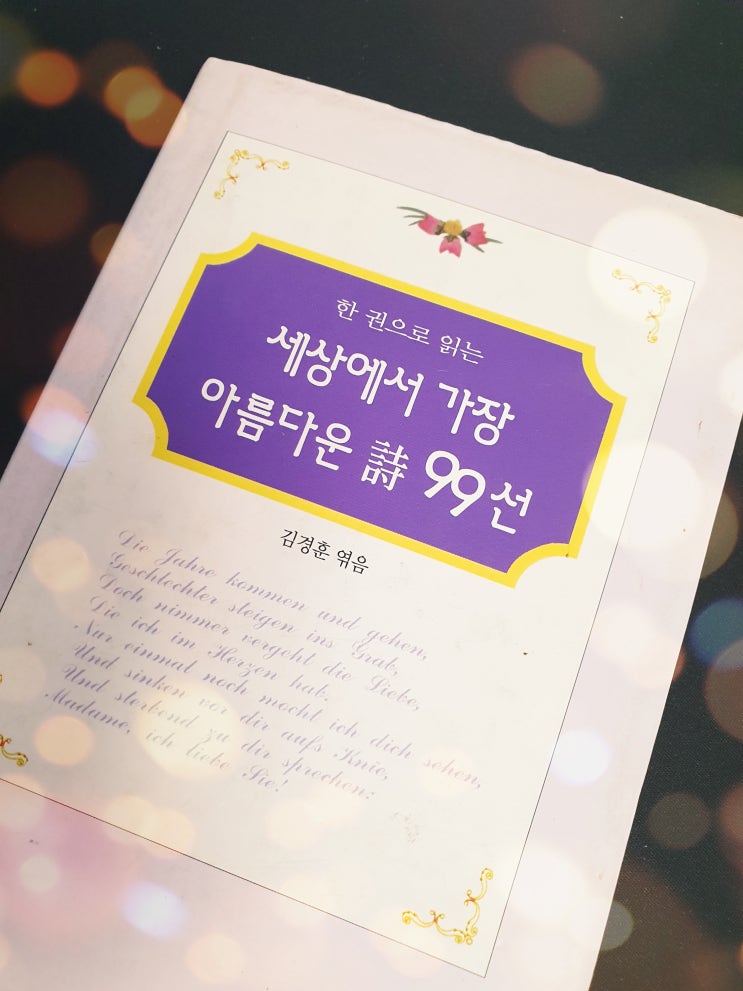  좋은 시 추천 한 권으로 읽는 세상에서 가장 아름다운 시 99선 짧은시 사랑시