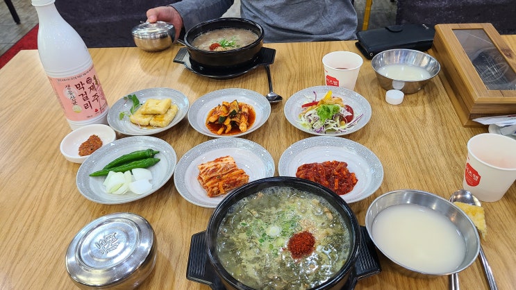 제주 고사리육개장 도민맛집 파라다이스회관 100프로 제주산