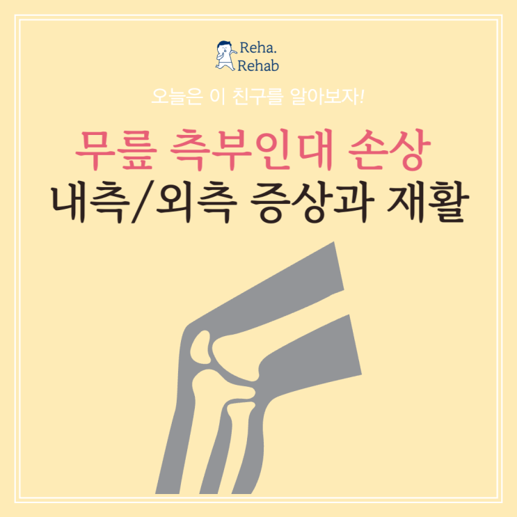  무릎 내측 측부인대 손상의 증상과 원인과 재활정보