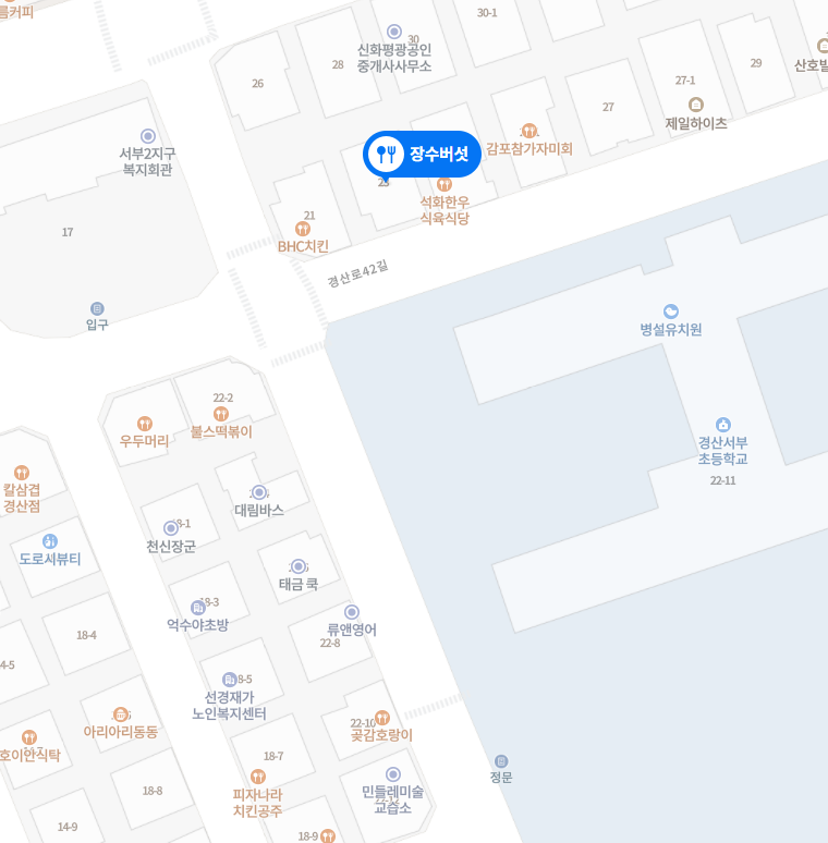 장수버섯 사진 4