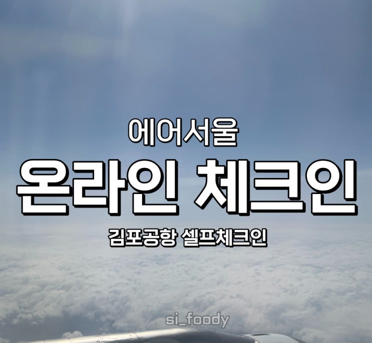  에어서울 모바일 온라인 체크인 하는 방법 김포공항 국내선 셀프체크인 및 기내반입 금지 리스트