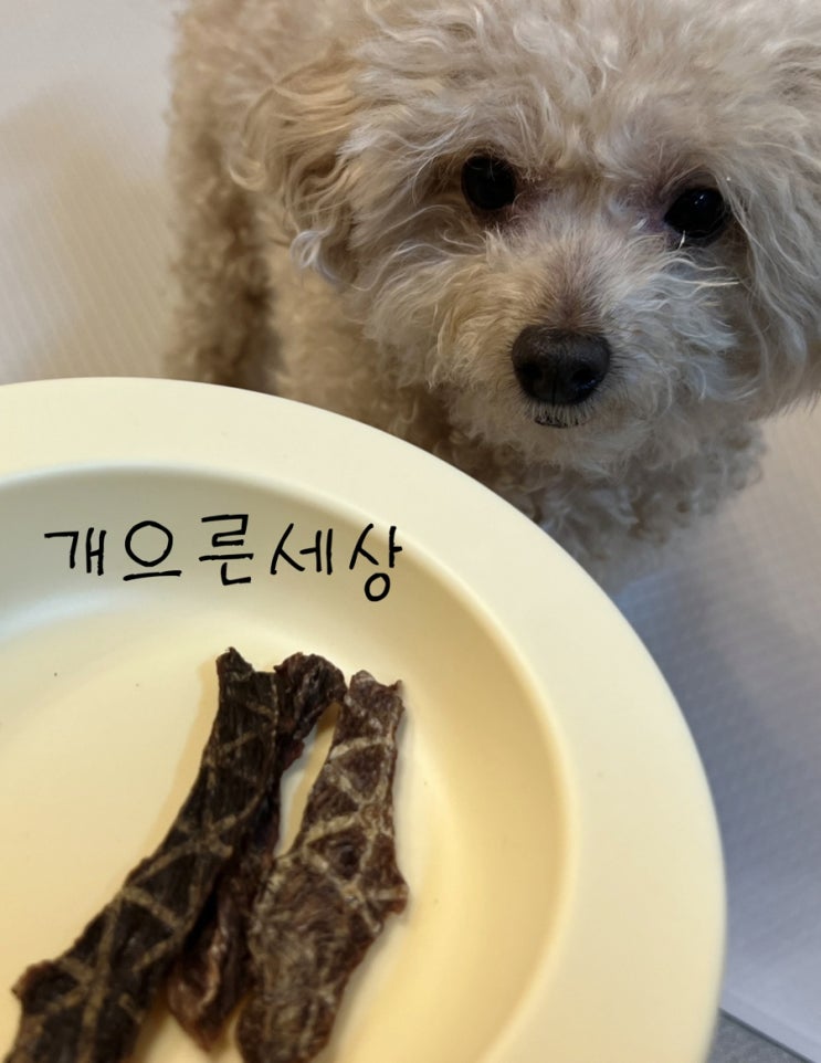  개으른세상 강아지수제간식 반려견캥거루 반려견사슴 간식