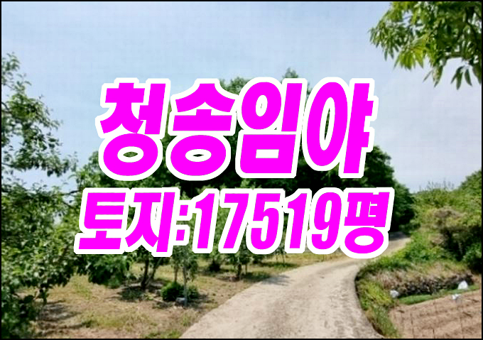 청송임야경매 청송군 현동면 개일리 임야 경매물건 청송임야경매 청송군 현동면 개일리 임야 경매물건