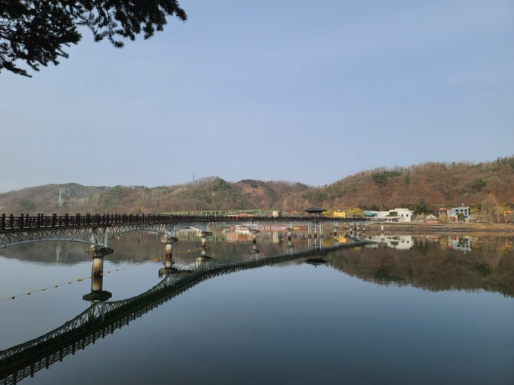  안동 여행 월영교 개통 20년 국내서 가장 긴 나무다리에서 산책했어요.