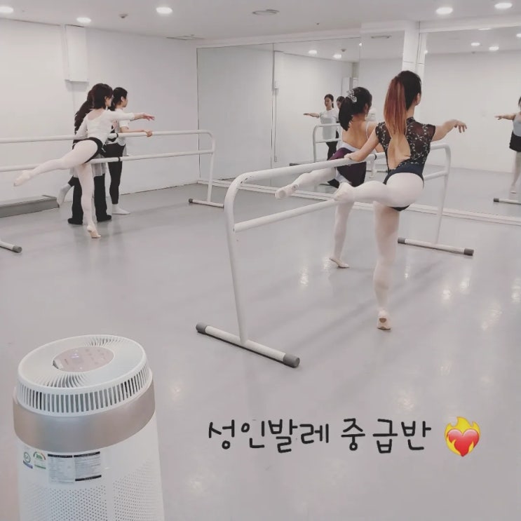  [문정동발레/가락동발레-비바발레] 성인발레 중급반 비바발레
