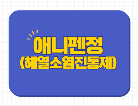  애니펜정 150mg 300mg 400mg 효능 부작용 복용법 타이레놀 복용