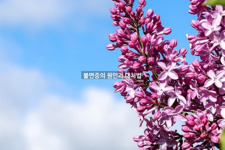  불면증의 원인과 대처법