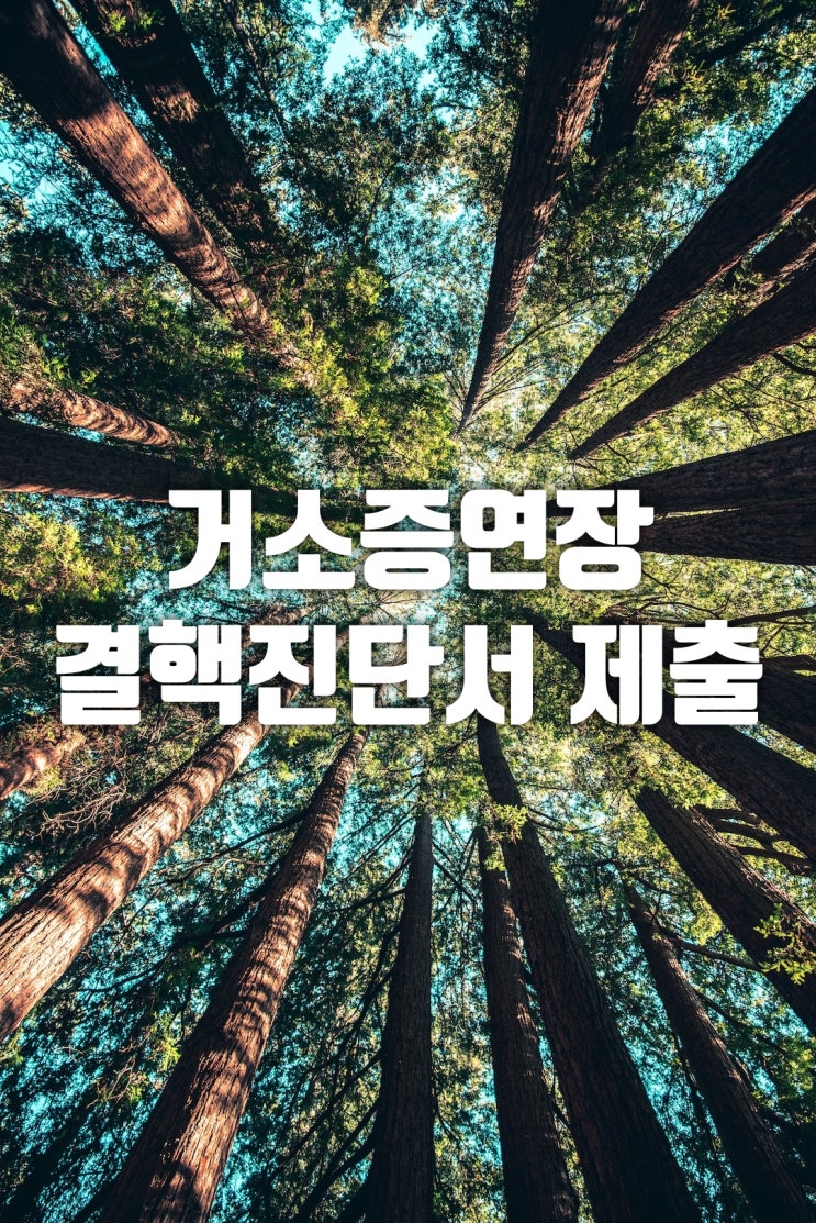  거소증 연장 시 유의할 점(결핵검사서 제출 대상)