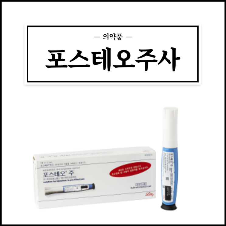  포스테오(포스테오주사), 효능효과/사용법/부작용/주의사항 등 간단정리