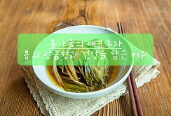  봄나물의 대표주자 봄의 상큼함과 건강을 담은 머위, 새로운 봄나물을 만나보세요
