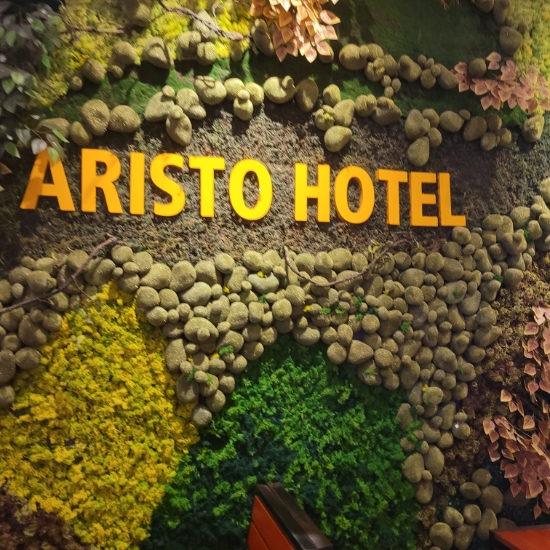  호치민 아리스토호텔 숙소 ARISTO HOTEL SAIGON