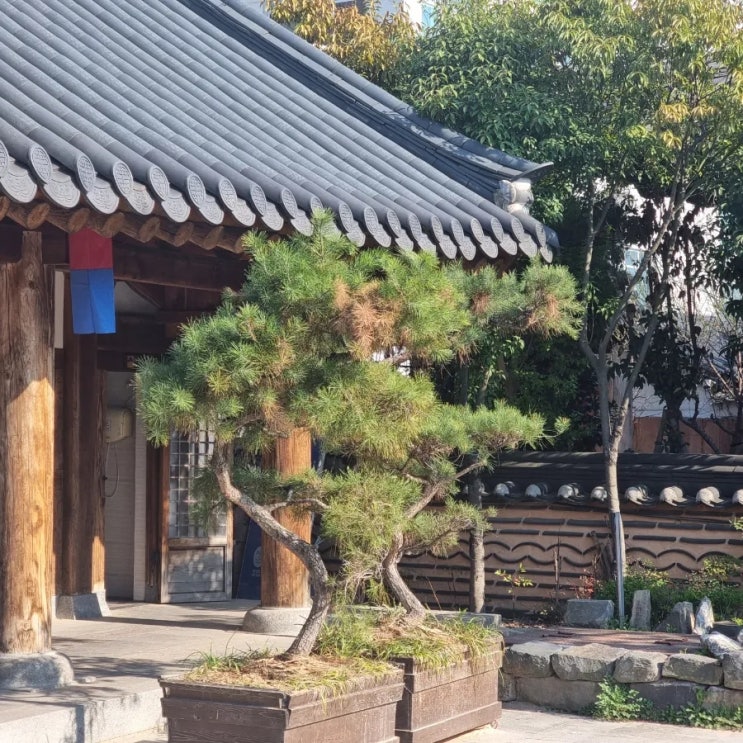  전주여행-2일차 (전주 한옥마을, 레일바이크, 벚꽃 구경)