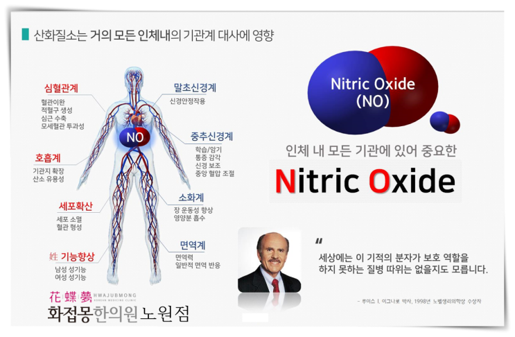  엔오(NO)한의원에서 알려드리는 엔오대사체 이야기