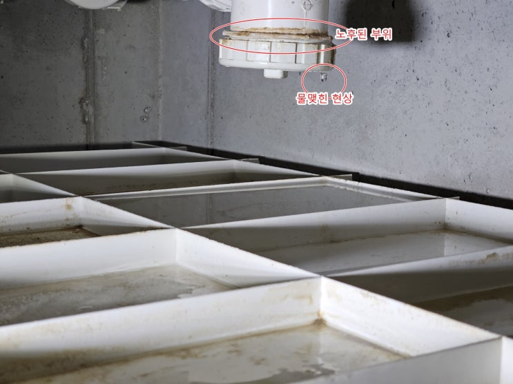 안양 누수, 비산동 아파트 천장 하수관에 물방울이 맺힌 이유!