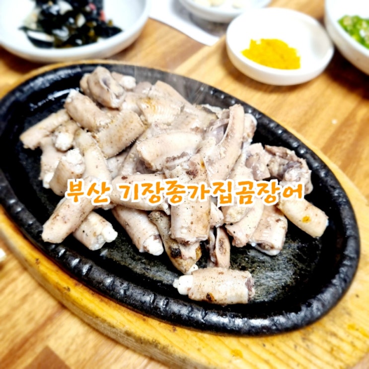  부산기장맛집 기장종가집곰장어 feat 짚불곰장어맛집