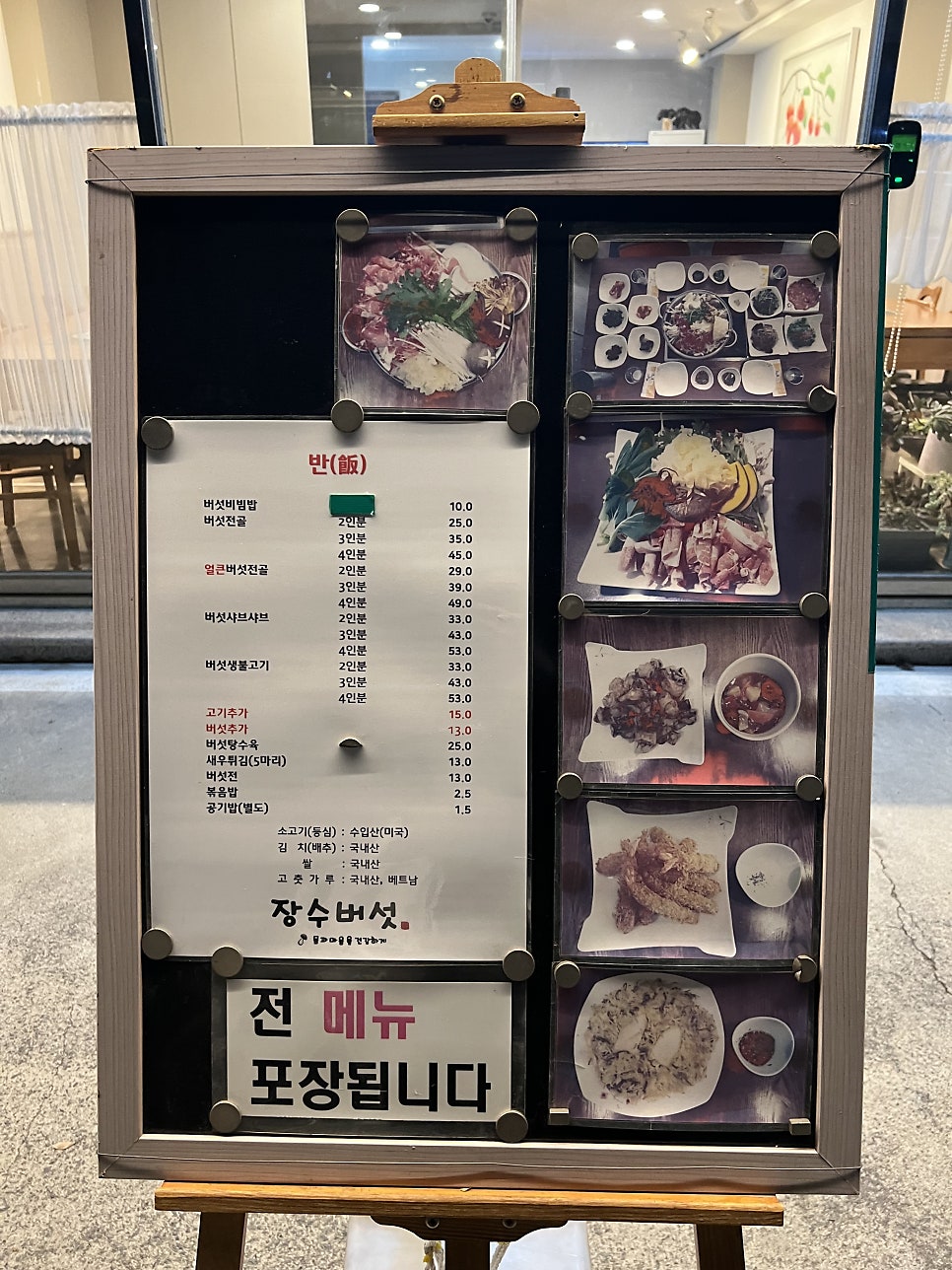 장수버섯 사진 5