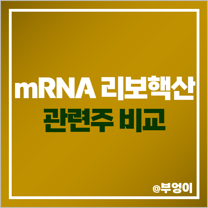 mRNA 리보핵산 백신 관련주 비교 : 이연제약 진원생명과학 서진바이오 삼양홀딩스 한미사이언스 녹십자 에스티팜 올릭스 파미셀 한미약품 나이벡 아이진 주식 주가 PER PBR 배당금 mRNA 리보핵산 백신 관련주 비교 : 이연제약 진원생명과학 서진바이오 삼양홀딩스 한미사이언스 녹십자 에스티팜 올릭스 파미셀 한미약품 나이벡 아이진 주식 주가 PER PBR 배당금
