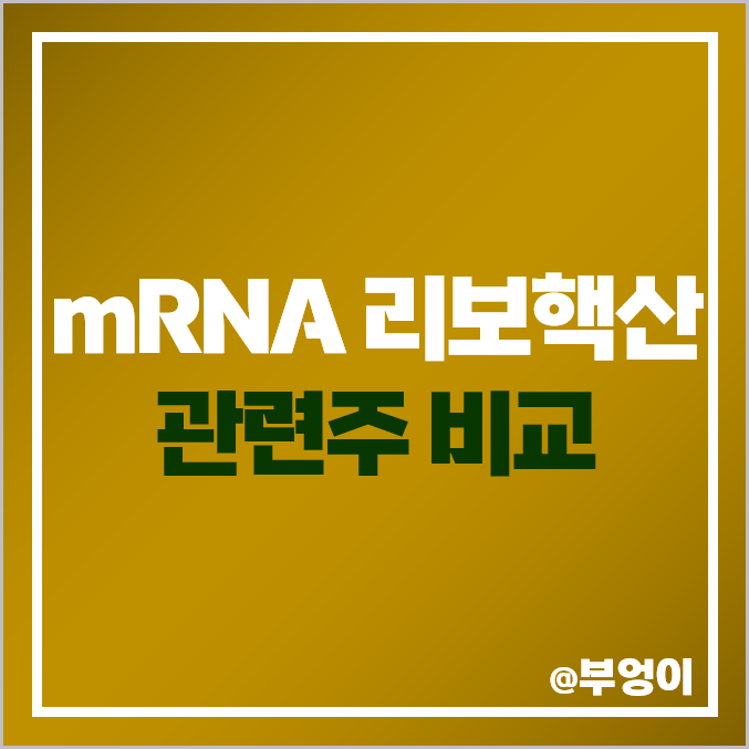 mRNA 리보핵산 백신 관련주 비교 : 이연제약 진원생명과학 서진바이오 삼양홀딩스 한미사이언스 녹십자 에스티팜 올릭스 파미셀 한미약품 나이벡 아이진 주식 주가 PER PBR 배당금