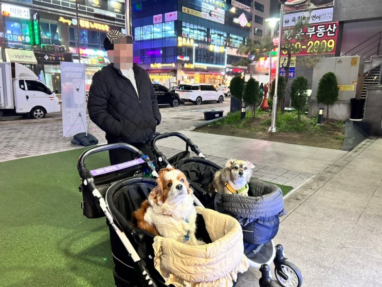  4월 주말은 계속 병원과 함께라 동네 마실만 주구장창