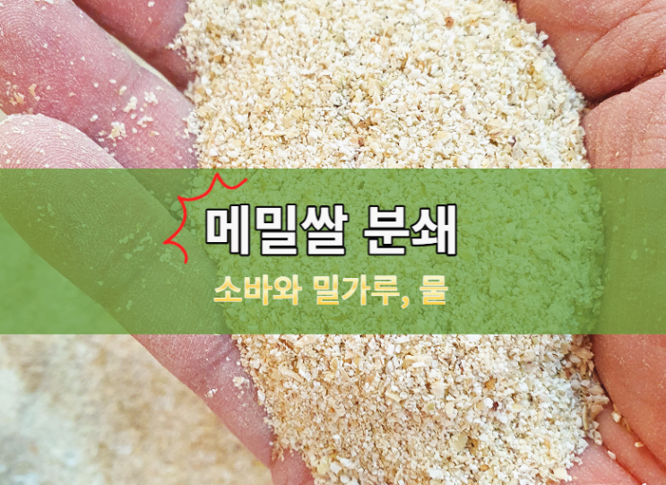 메밀쌀 분쇄 가루에서 소바가 만들어지는 이유
