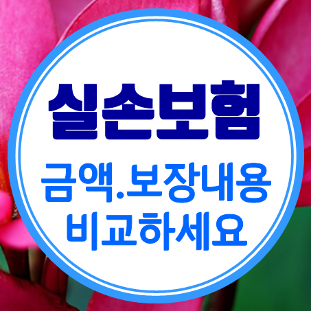  고령자실손보험 추천 시 유병력자실비보험 금액과 보장 내용도 함께 확인해 보세요.