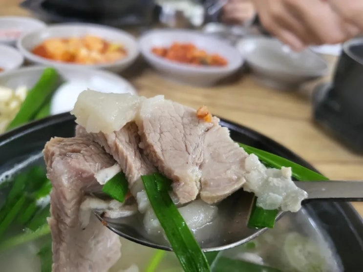 당감동 돼지국밥집 추천 고기듬뿍 백양돼지국밥 후기
