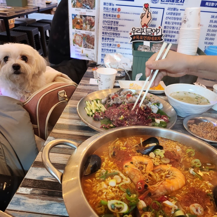  목포 애견동반식당 항구포차 연희네, 탕탕이 내돈내산 후기