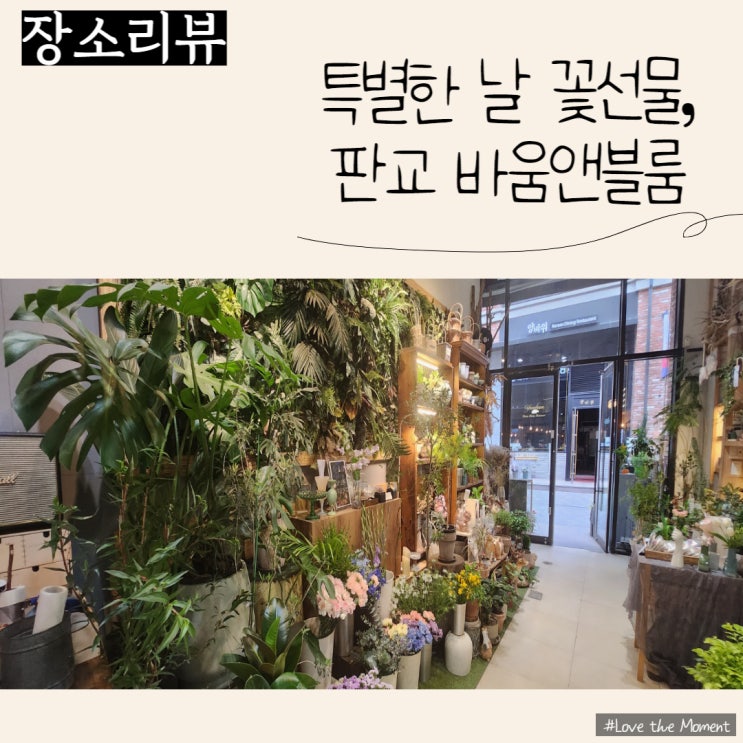  [솔직리뷰/분당꽃집추천] 판교꽃집 바움앤블룸, 꽃선물부터 플라워클래스까지