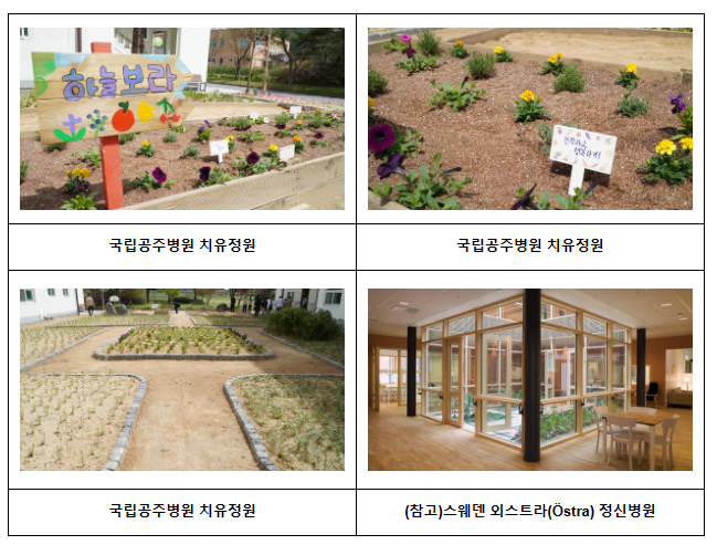 국립공주병원, ‘치유정원과 친환경 텃밭’ 조성으로 환자의 마음 건강 챙긴다. 국립공주병원, ‘치유정원과 친환경 텃밭’ 조성으로 환자의 마음 건강 챙긴다.