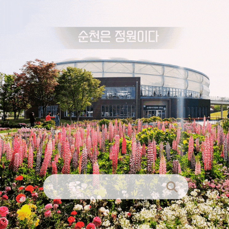  벌써 100만 명 돌파 순천만 국제정원 박람회 관람코스 Tip 솔직 후기