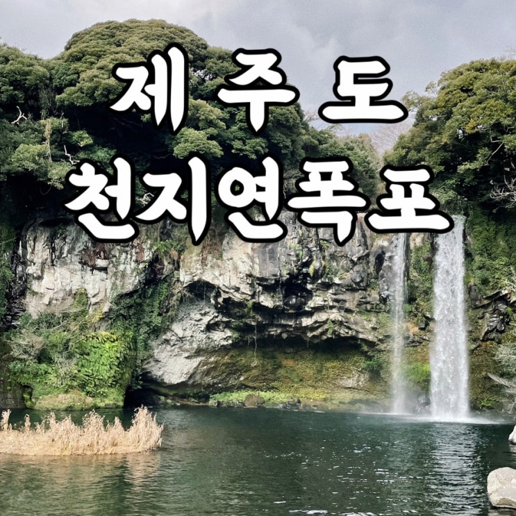  제주도)천지연폭포 제주가볼만한곳 제주야간명소