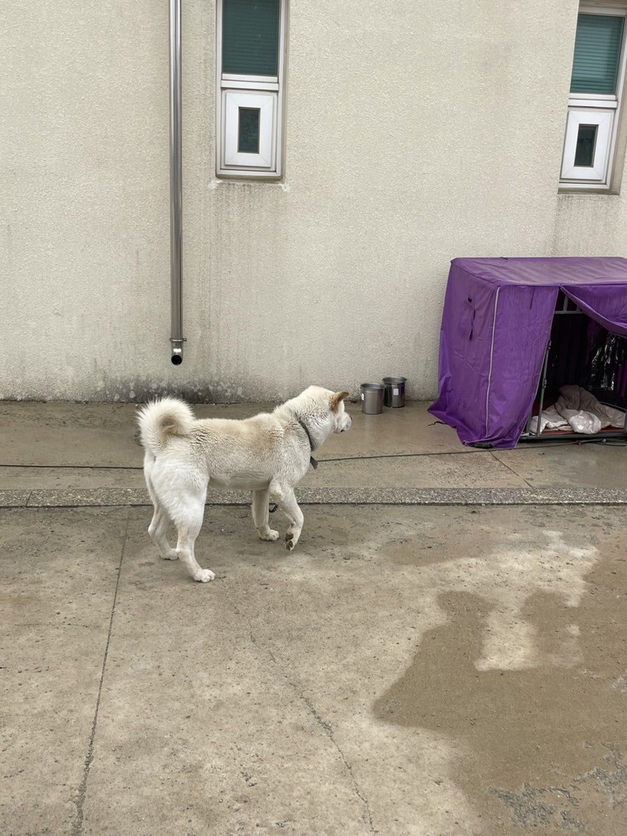 블루림 사진 5