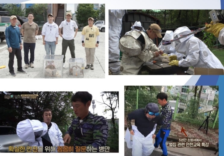 말벌의 오해와 진실에 대해서 한번 알아 보겠습니다.