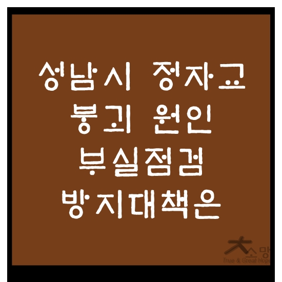 <b>성남시 정자교</b> 붕괴 원인, 부실점검 방지대책은?