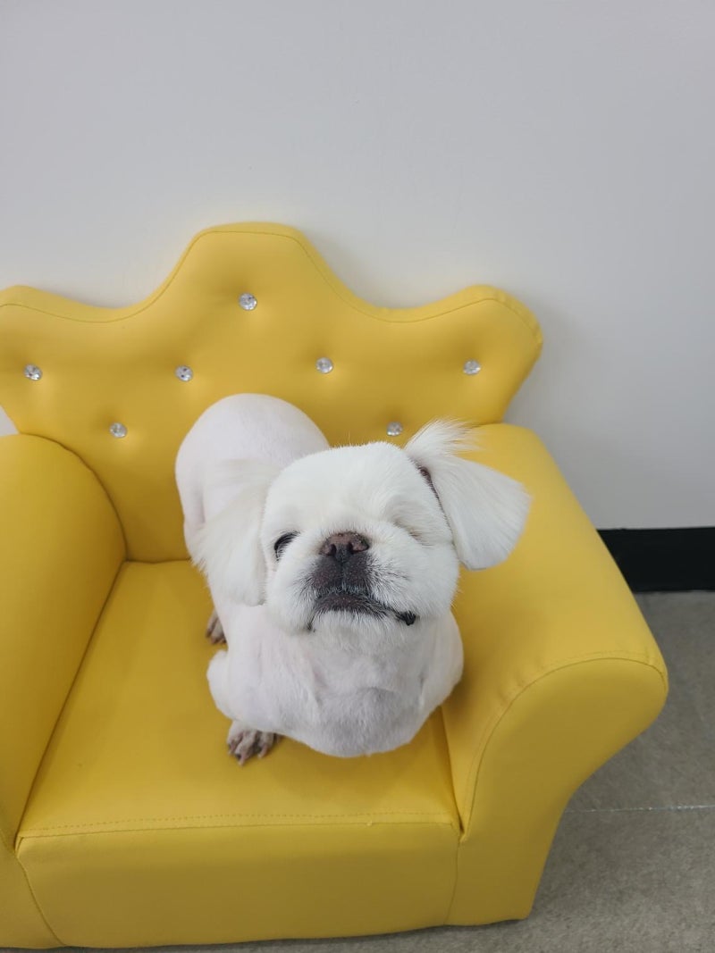 사진 2