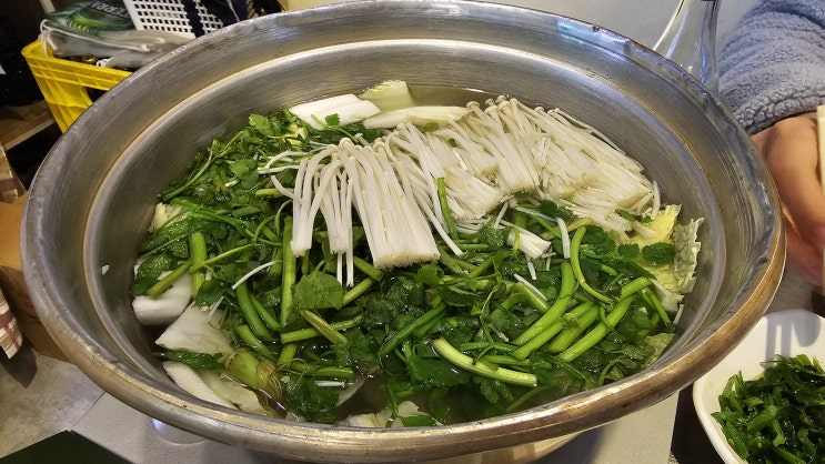 쭈꾸미철이 왔어요! 활쭈꾸미 샤브샤브를 창동 골목집에서!