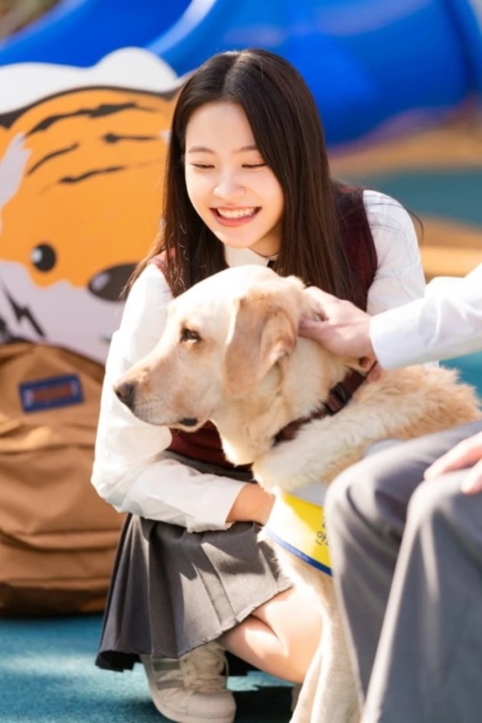 레드벨벳 멤버 예리, 청소년 장애 이해 드라마 '갈채' 차기작 선택...마음도 예뻐 레드벨벳 멤버 예리, 청소년 장애 이해 드라마 '갈채' 차기작 선택...마음도 예뻐