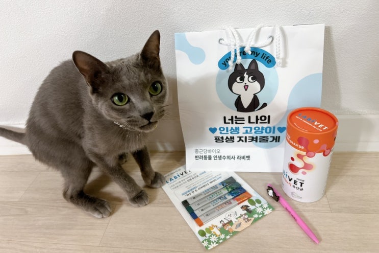  고양이영양제추천 고양이설사 종근당고양이유산균으로 해결