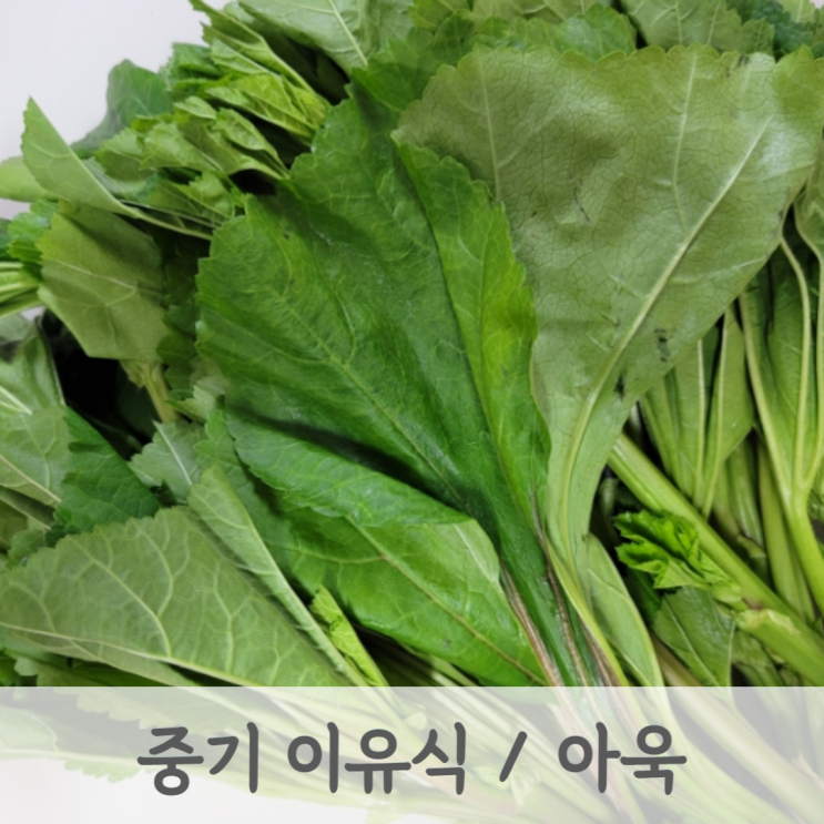  [중기이유식] 아욱 큐브 만드는 방법 (아욱 토핑, 이유식 레시피, 베이비무브)