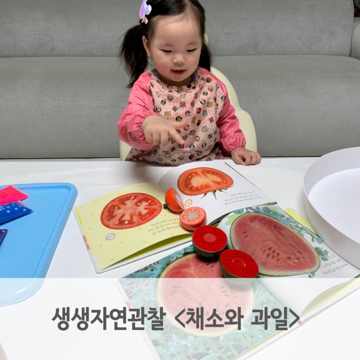  3세 자연관찰책 읽고 독후활동 물감 색칠 놀이해요
