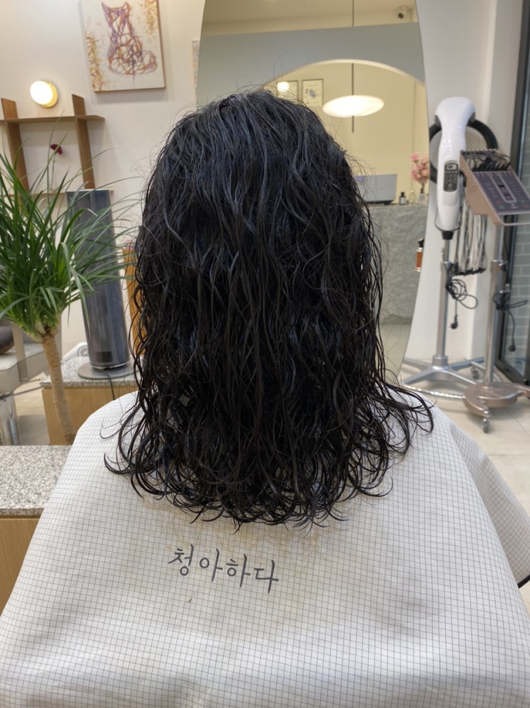  광교미용실 청아하다 탈매직 히피펌 도전 성공기