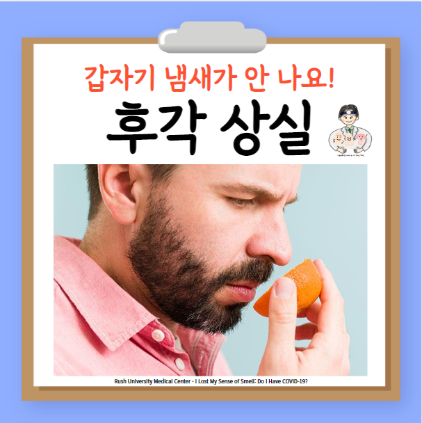  감기 후각 상실 후각장애 원인 치료 훈련 - 냄새가 안 나요